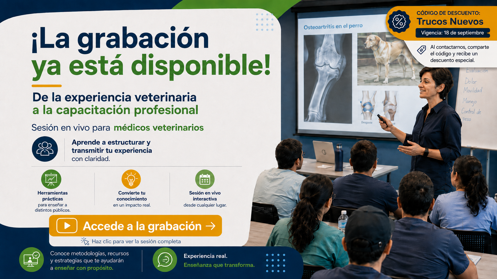 De la experiencia veterinaria a la capacitación profesional